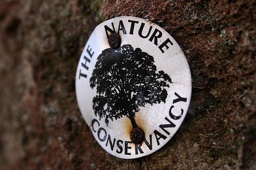 [The Nature Conservancy's Hellen Creek Hemlock Preserve, Lusby, Maryland.]
